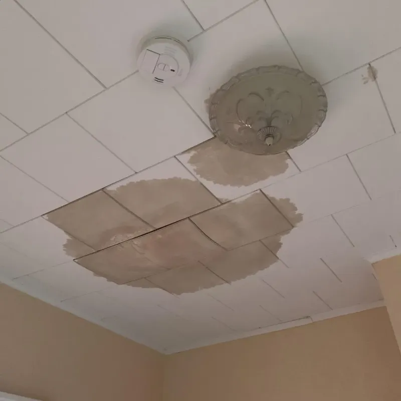 Ceiling Water Damage Repair in New Fairfield, CT