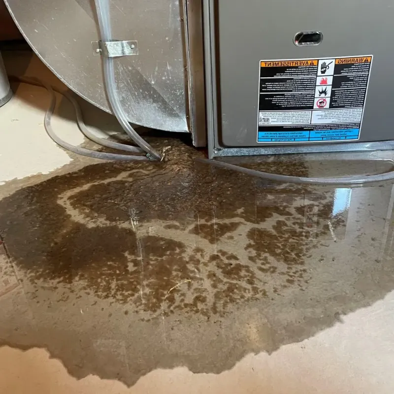 Pipe Burst and Leak Restoration in New Fairfield, CT